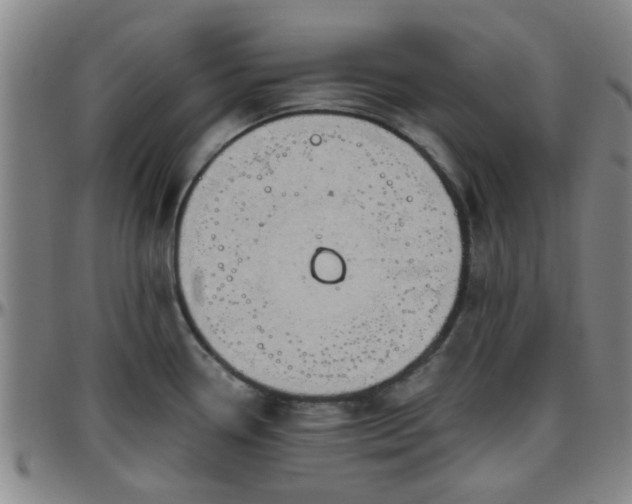 X0000096441338200801311420