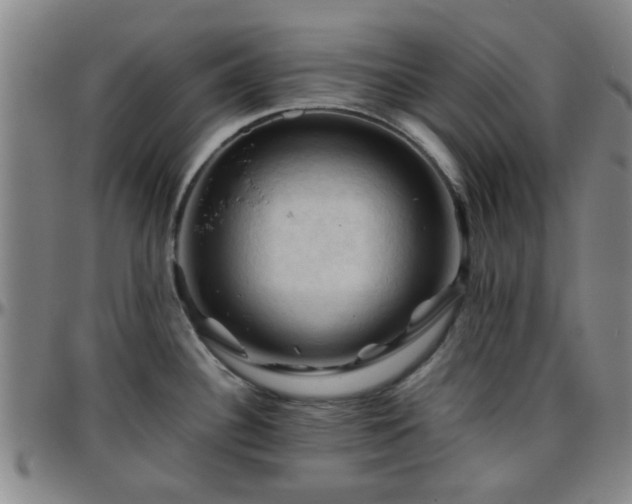 X0000096441340200801311420