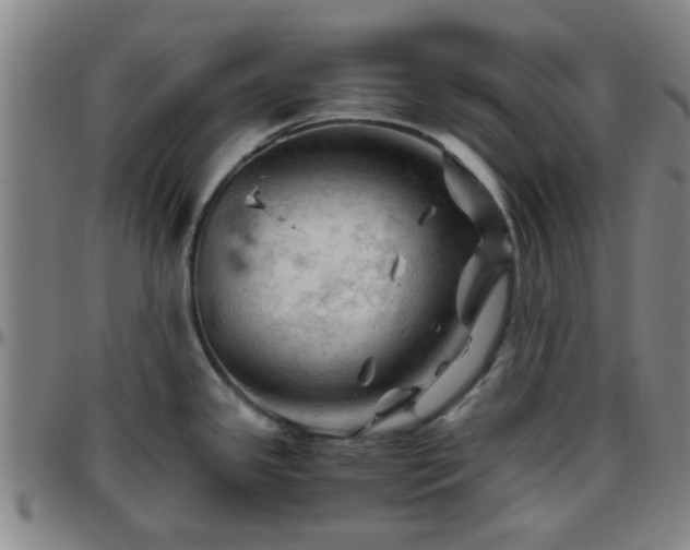 X0000096441341200801311420
