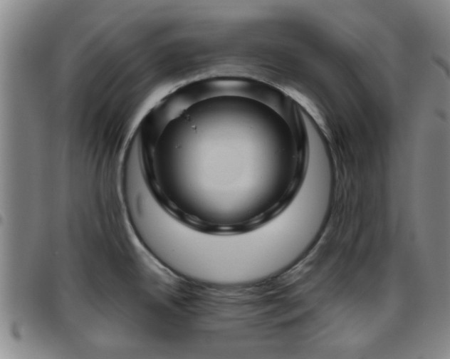 X0000096441342200801311420