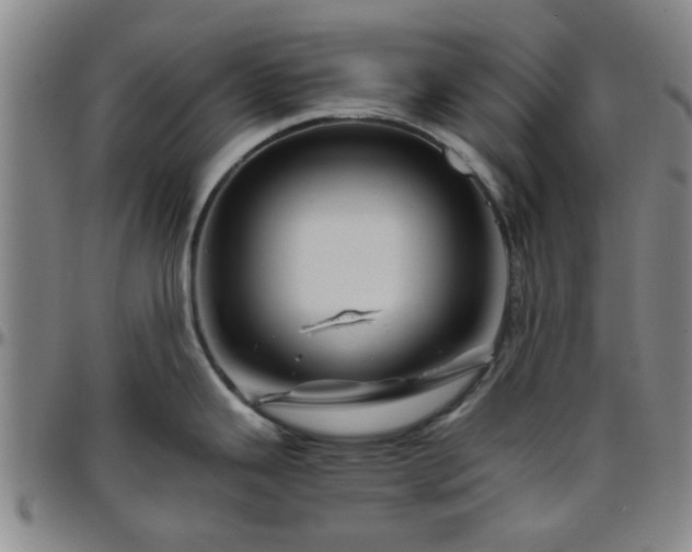 X0000096441343200801311421