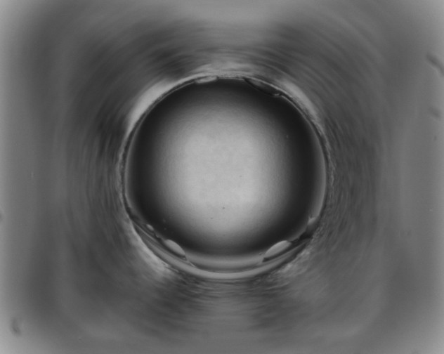 X0000096441344200801311421