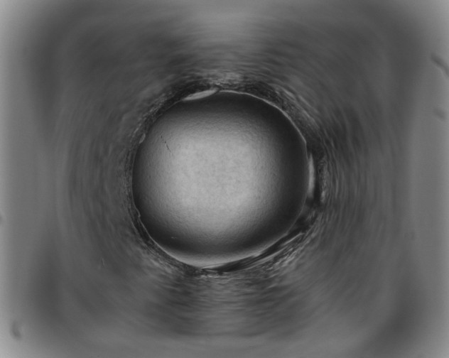 X0000096441345200801311420