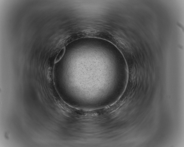 X0000096441346200801311420