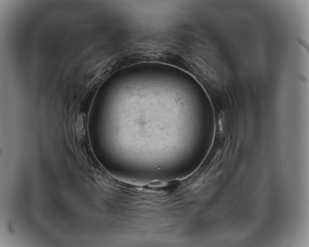 X0000096441347200801311420