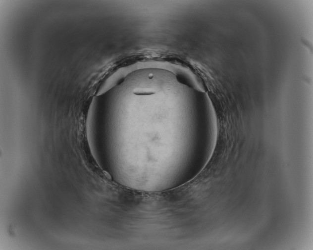 X0000096441349200801311420