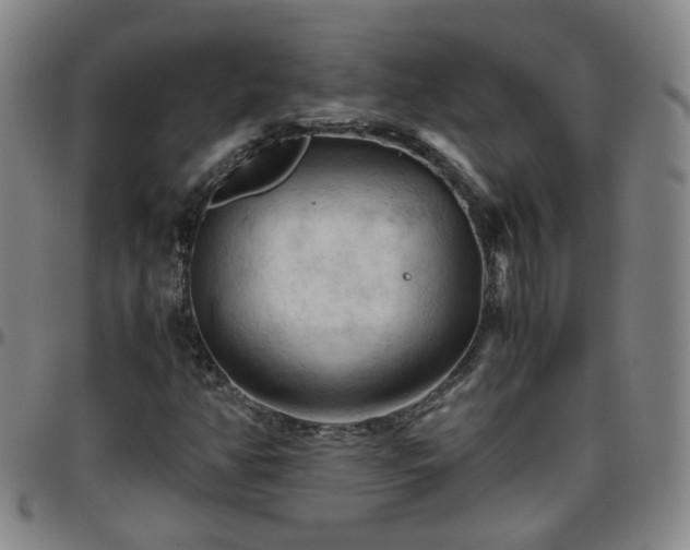 X0000096441350200801311420