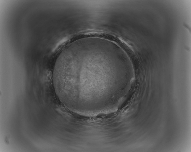 X0000096441351200801311420
