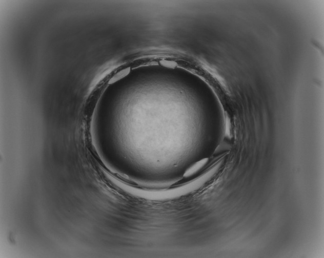 X0000096441352200801311420