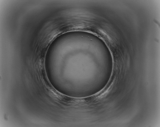 X0000096441353200801311420