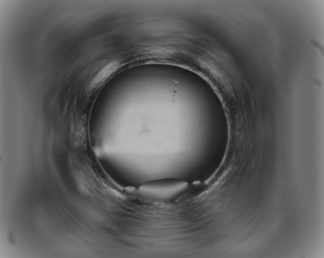 X0000096441354200801311420