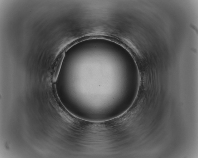 X0000096441356200801311420