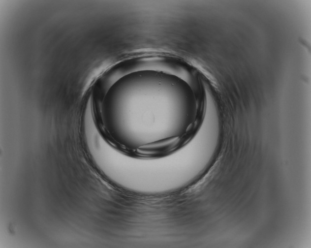 X0000096441357200801311420