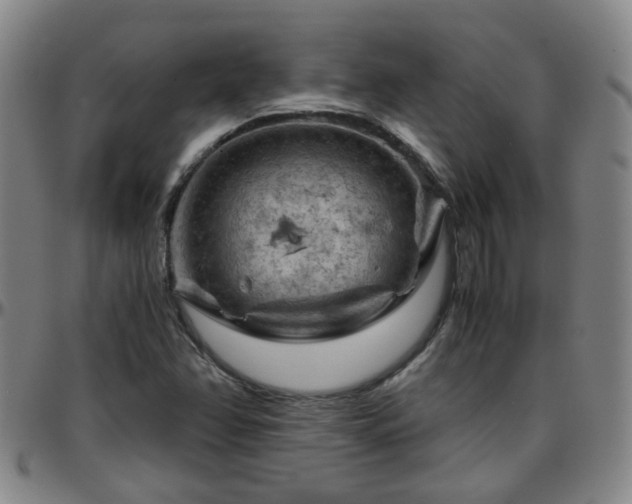 X0000096441358200801311420