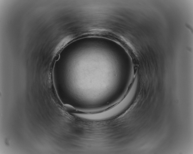 X0000096441362200801311420
