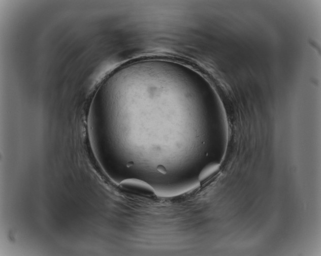 X0000096441363200801311420