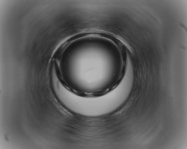 X0000096441364200801311420