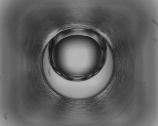 X0000096441365200801311420