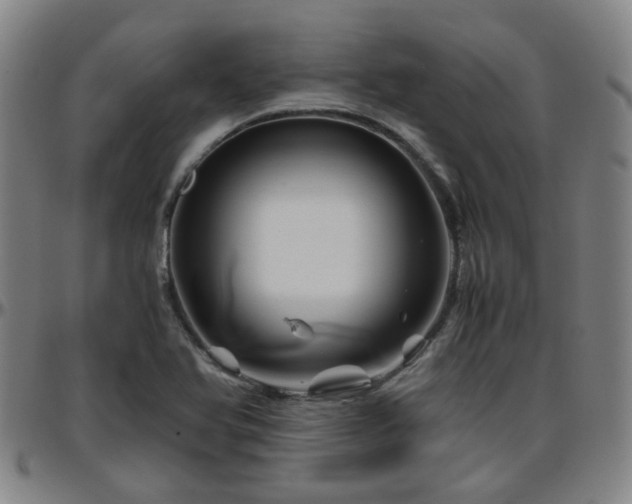 X0000096441366200801311420