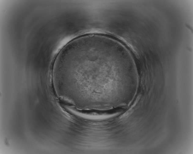 X0000096441367200801311420