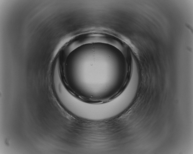 X0000096441368200801311420