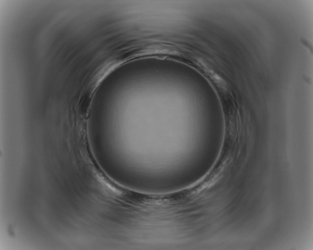 X0000096441369200801311420