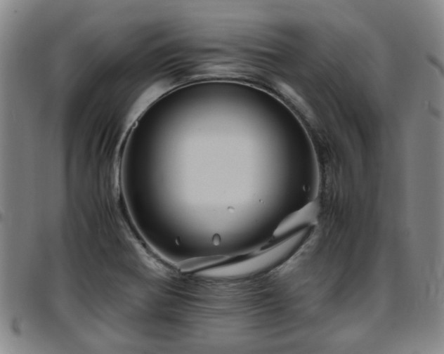 X0000096441370200801311420
