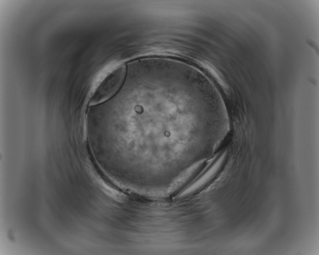 X0000096441371200801311420
