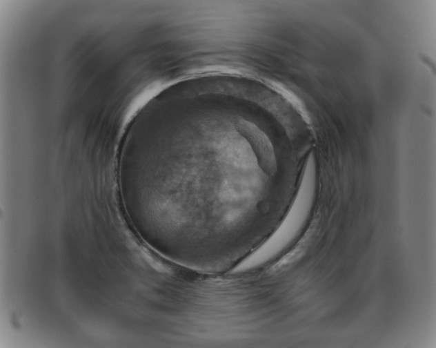 X0000096441373200801311419