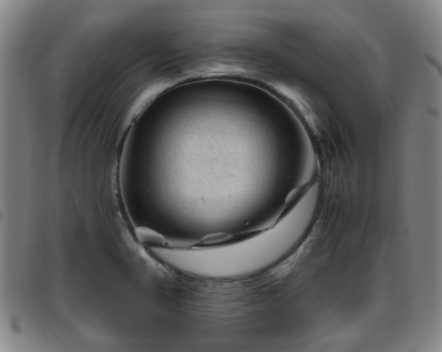 X0000096441374200801311419