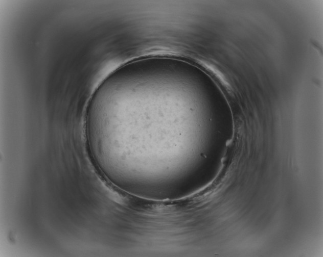 X0000096441375200801311419