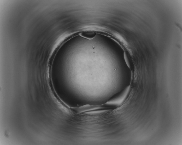 X0000096441376200801311419