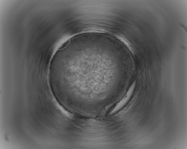X0000096441379200801311419