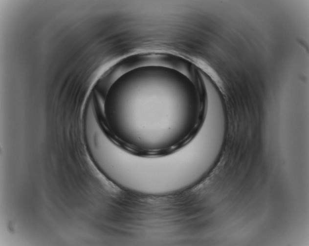 X0000096441380200801311419