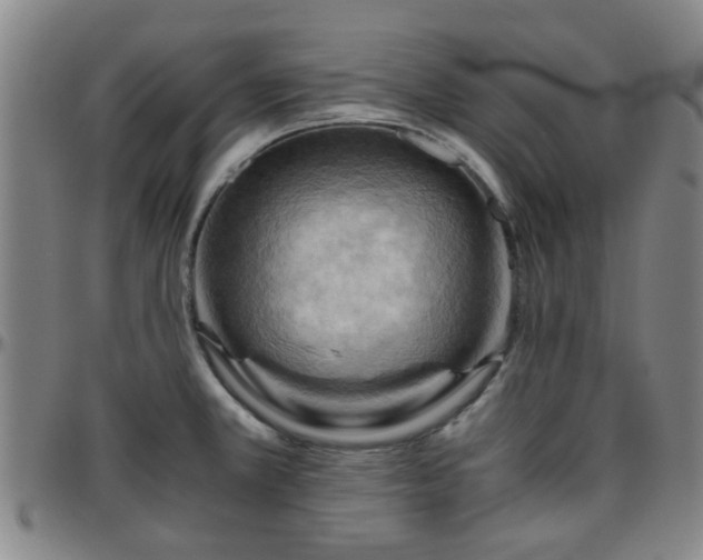 X0000096441381200801311419