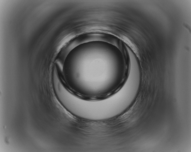 X0000096441384200801311419