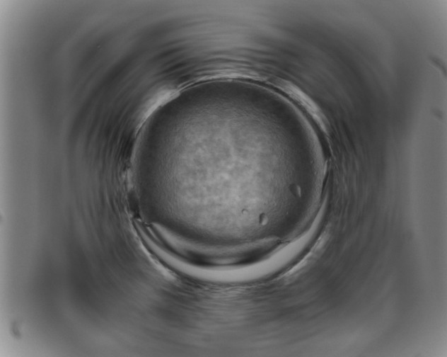 X0000096441385200801311419
