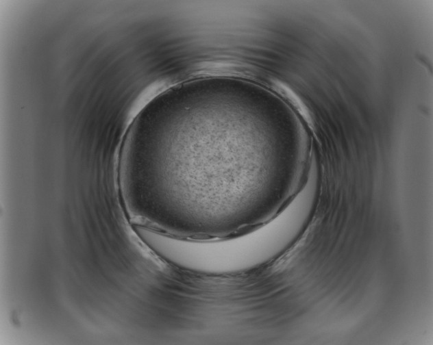 X0000096441386200801311419