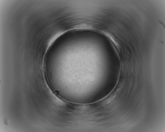 X0000096441387200801311419