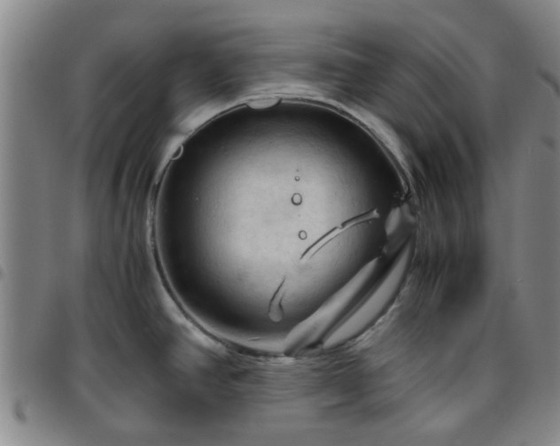 X0000096441390200801311419