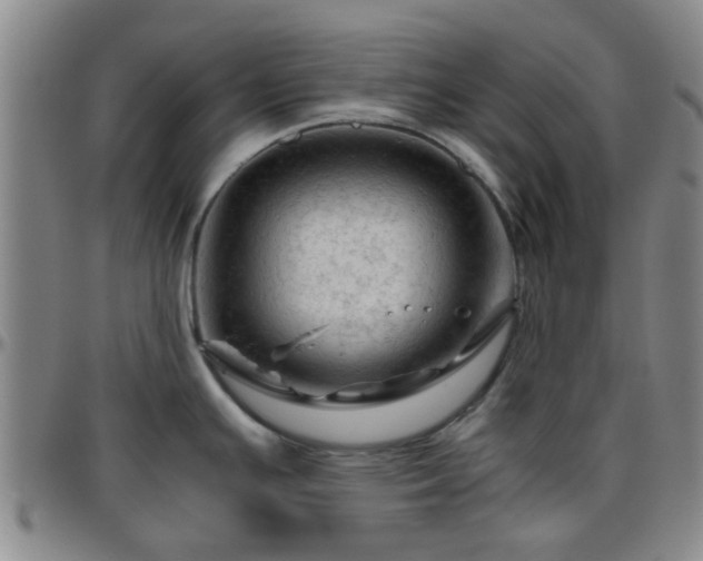 X0000096441391200801311419