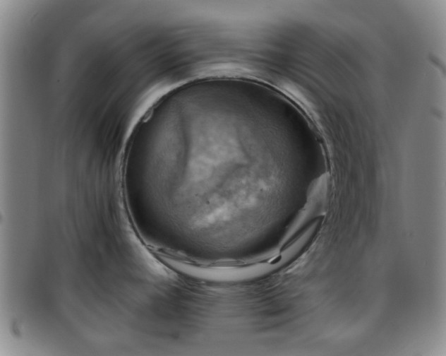 X0000096441392200801311419
