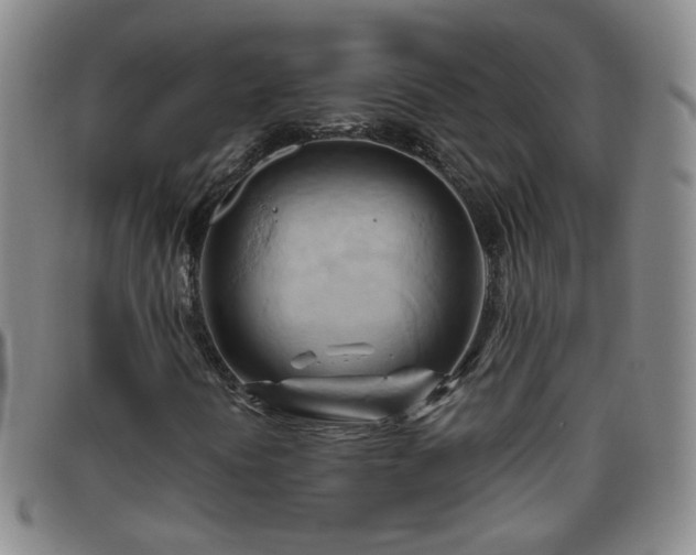 X0000096441394200801311419