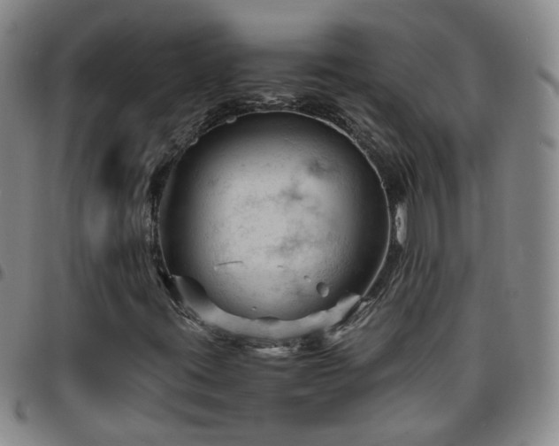 X0000096441395200801311419