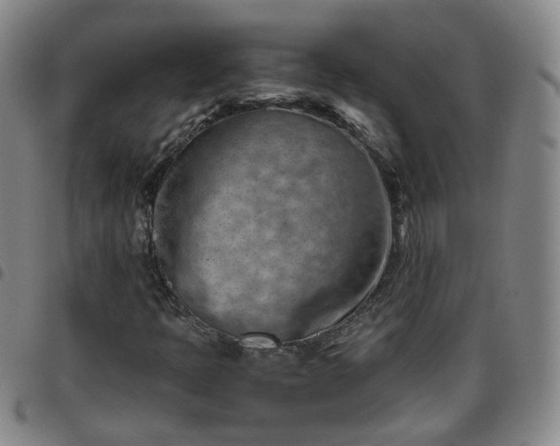 X0000096441397200801311419