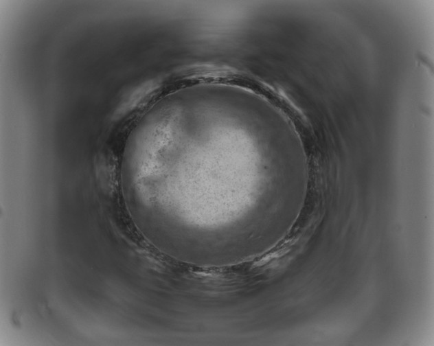 X0000096441399200801311419
