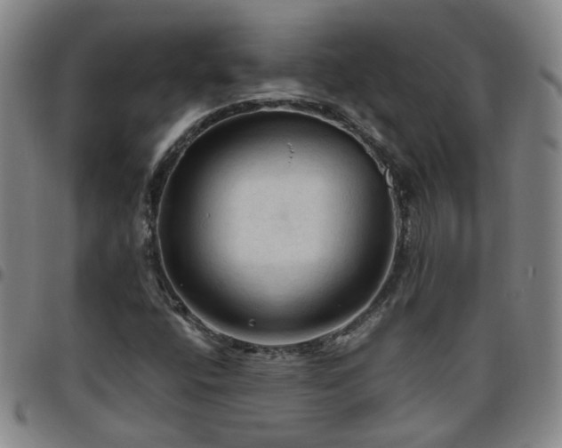 X0000096441400200801311419