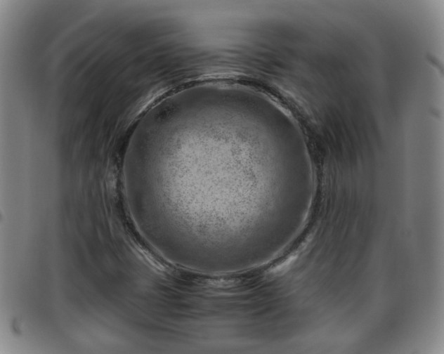 X0000096441401200801311419