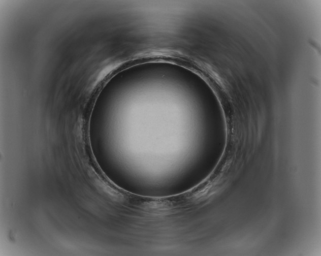X0000096441404200801311419