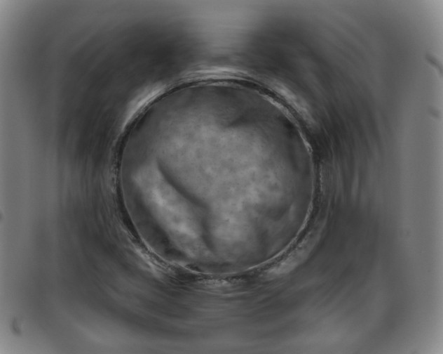 X0000096441405200801311419